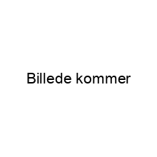 Alle Produkter