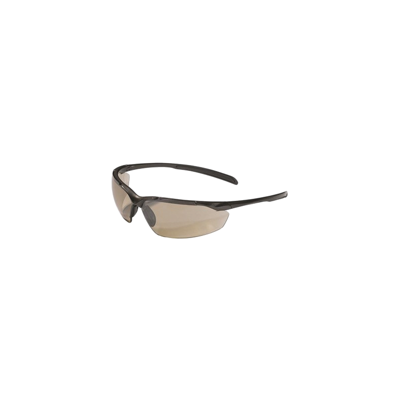 Sikkerhedsbrille Swiss One - DAYTONA