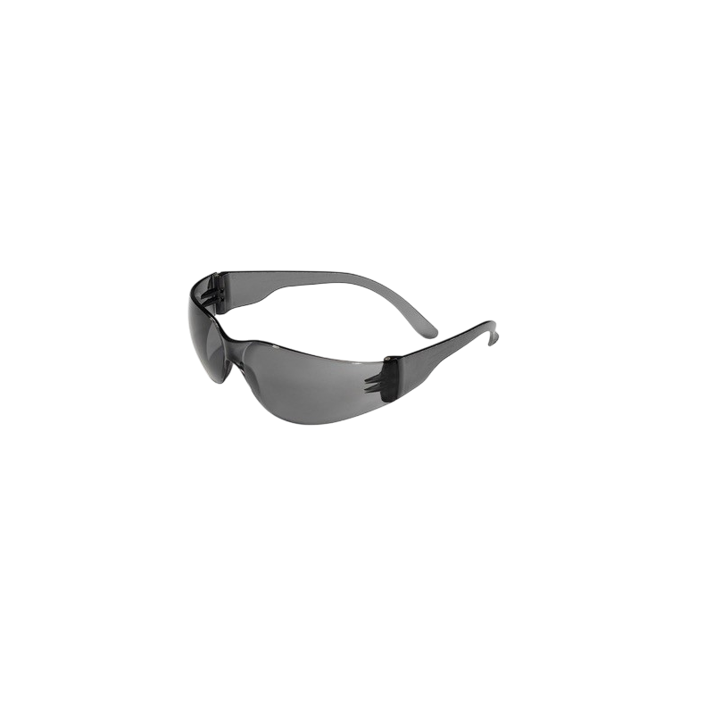  Sikkerhedsbrille Swiss One - POP
